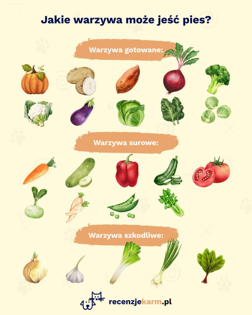 Jakie warzywa może jeść pies?