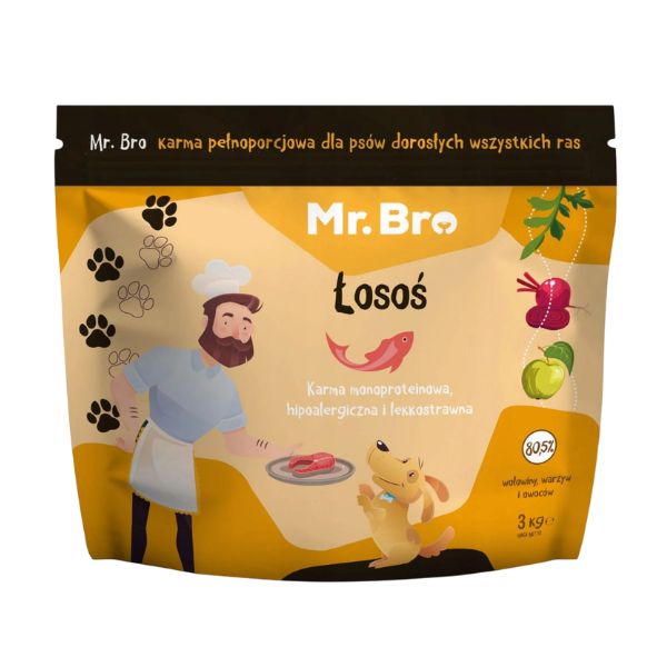 Mr. Bro Łosoś